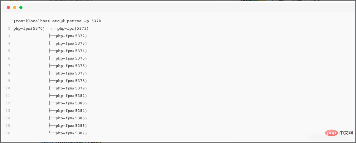 看懂PHP进程管理器php-fpm