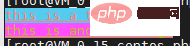 学习PHP-cli 模式在终端输出彩色标记文字以及动态内容