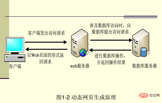 新手必学的php基础知识