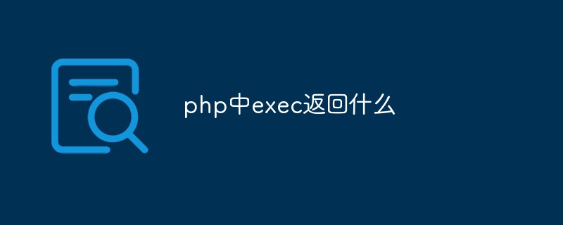 php中exec返回什么